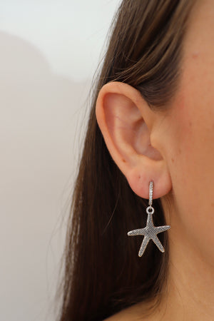 ARETES ESTRELLA DE MAR