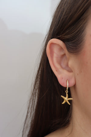 ARETES ESTRELLA DE MAR
