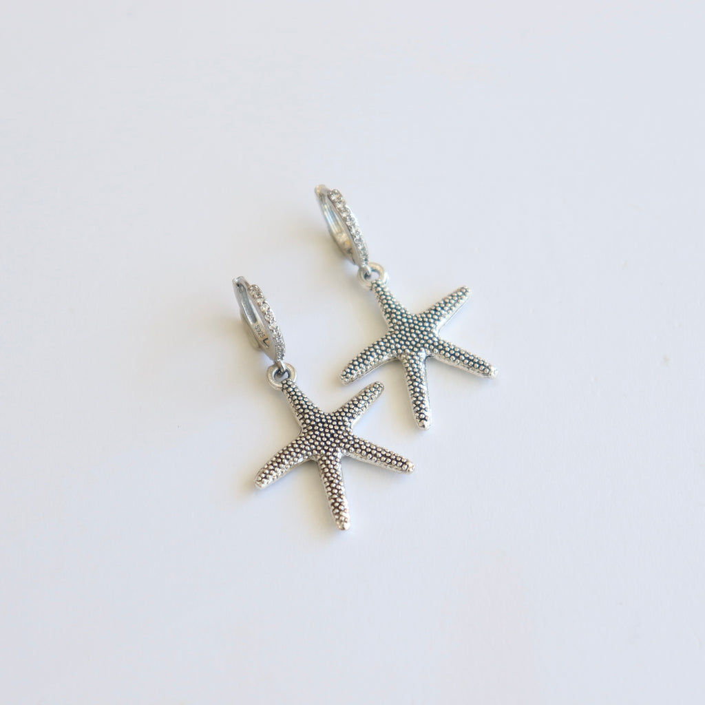 ARETES ESTRELLA DE MAR