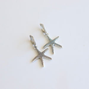 ARETES ESTRELLA DE MAR