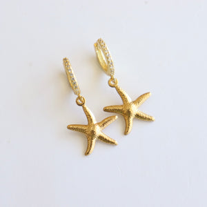 ARETES ESTRELLA DE MAR