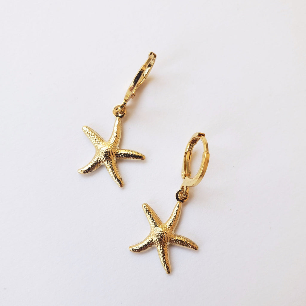 HUGGIES DE ESTRELLA DE MAR